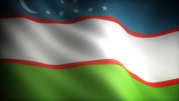 Flagge Usbekistans — Stockvideo
