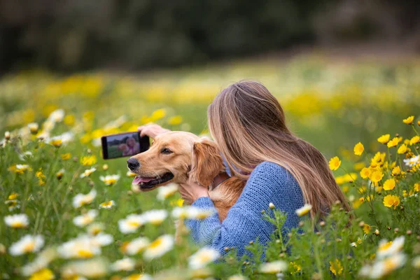 Espanha Maiorca Mulher Com Golden Retriever Tomando Selfie Prado Florescente — Fotografia de Stock