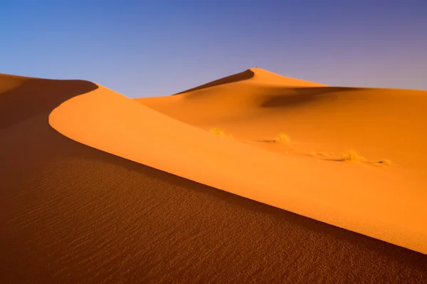 摩洛哥 Ziz Valley 撒哈拉沙漠上Erg Chebbi的橙砂 — 图库照片