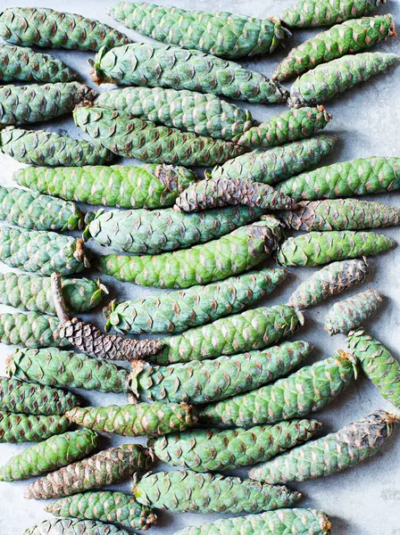 Studio Shot Green Pine Cones — Stock Photo, Image