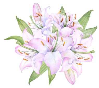 Bouquet white lilies, watercolor flower arrangement