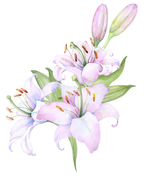 Bouquet White Lilies Watercolor Flower Arrangement — Stok Vektör