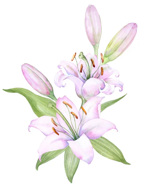 Bouquet White Lilies Watercolor Flower Arrangement — Stock vektor