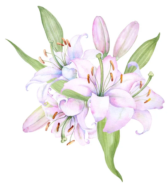 Bouquet White Lilies Watercolor Flower Arrangement — Stockvektor