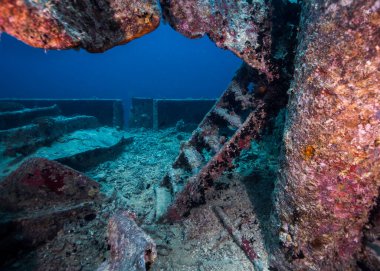 Thistlegorm gemisinin su altındaki enkazının güvertesinde bir merdiven.