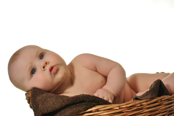 Niedliches Neugeborenes im Korb — Stockfoto