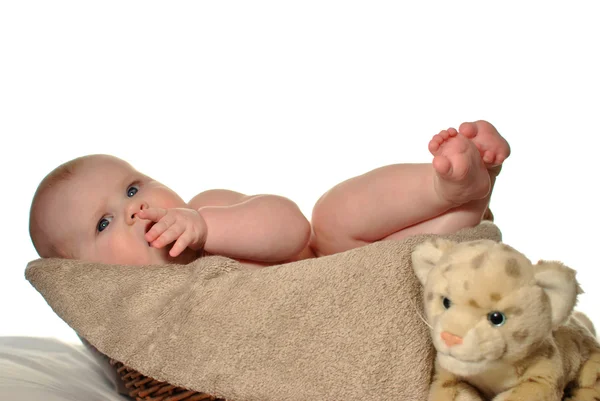 Bambino nel cestino graffiare le gengive Foto Stock