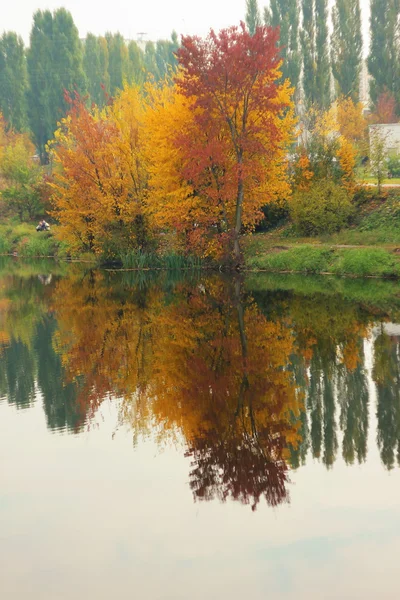 sonbahar yaprakları