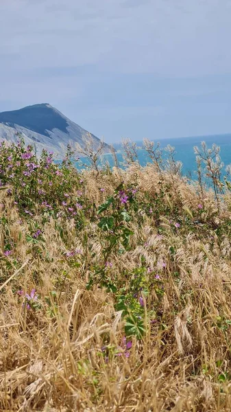 Paraíso férias, encantadora paisagem caribenha, montanhas verdes, flores brilhantes e mar azul-turquesa . — Fotografia de Stock