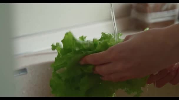 Close-up de menina lavando legumes verdes e alface na pia da cozinha em casa, câmera lenta. — Vídeo de Stock