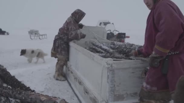 Jauh di utara Yamal, tundra, penduduk jauh di utara berada di rumah mereka. Konsep tentang kehidupan. Januari 2022. Rusia — Stok Video