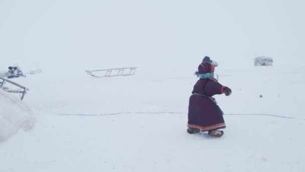 Far North Yamal Tundra Residents Far North Homes Concept Life — Stock Video