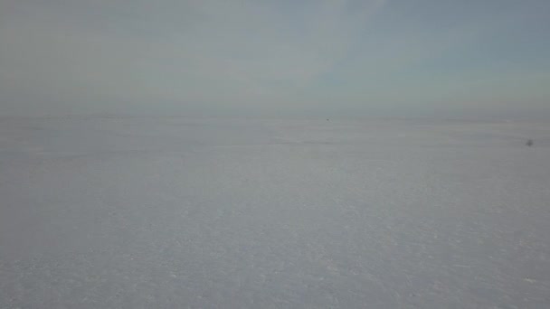 Прекрасне Захоплення Відео Безпілотника Вершини Юрц Середині Тундри Арктиці — стокове відео