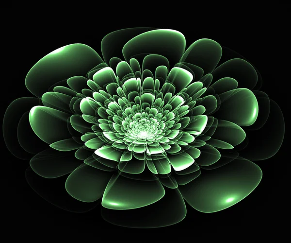 Fractal flower in green — Stock Photo, Image