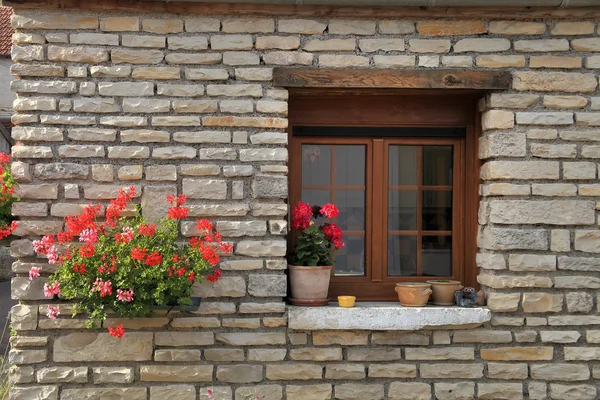 Arranjo de flores de caixa de janela, Borgonha, França — Fotografia de Stock
