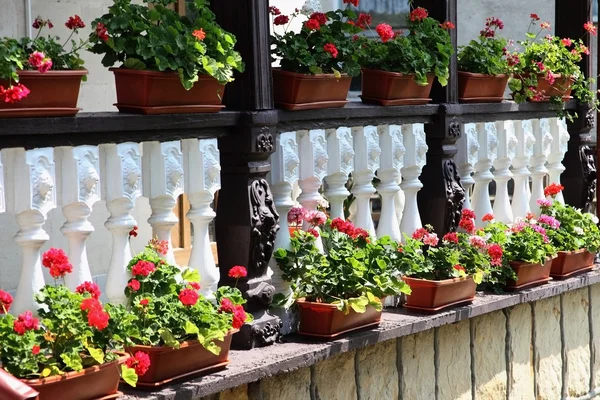 Terraza decorada con flores de una casa en Moldavia —  Fotos de Stock