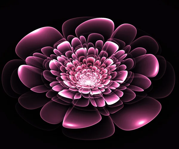 purple in Fractal çiçek