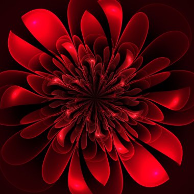 Beautiful lush red flower on black background. clipart