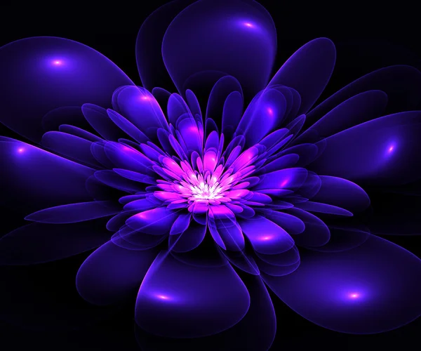 Fractal flower in blue and purple. Computer generated graphics. — Stock Photo, Image