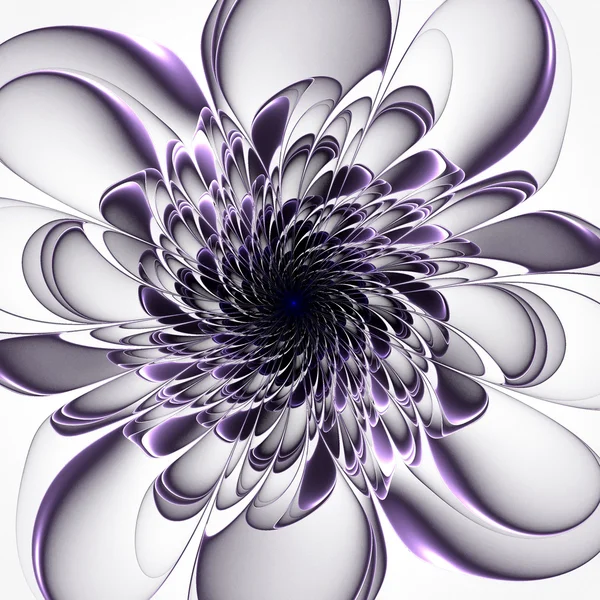 Beautiful purple flower on white background. — Stock Photo, Image