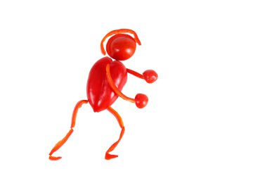 biber sağlıklı eating.little komik boksör yaptı.