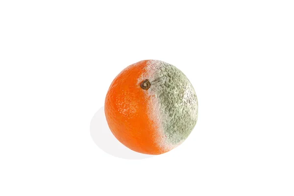 Primer plano de una naranja mohosa sobre un fondo blanco —  Fotos de Stock