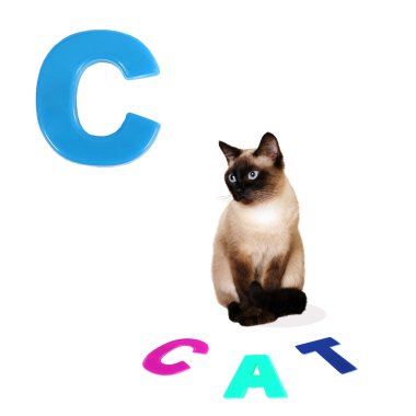 Çizilmiş alfabe harfi C ve kedi.