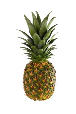 sağlıklı beslenme. portakal dilimlerini komik çift tavşan yaptı