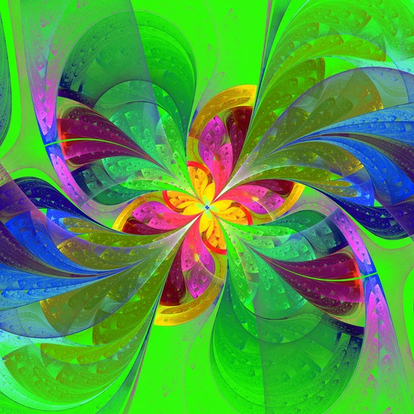 Multicolor beautiful fractal flower on green background. — Stock Photo, Image