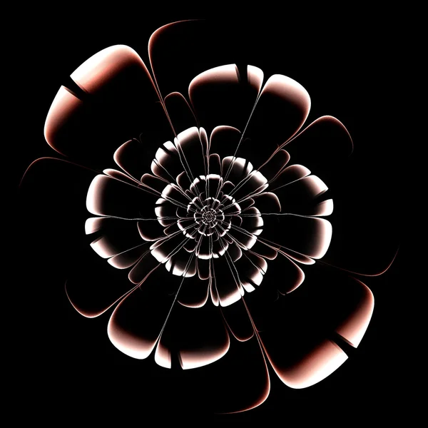 Flor beige fractal sobre fondo negro. Ordenador generado — Foto de Stock