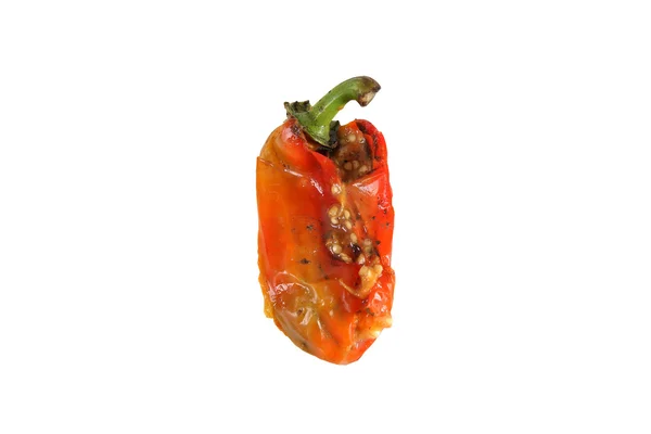 Old rotten pepper isolated on white — Stock Photo, Image