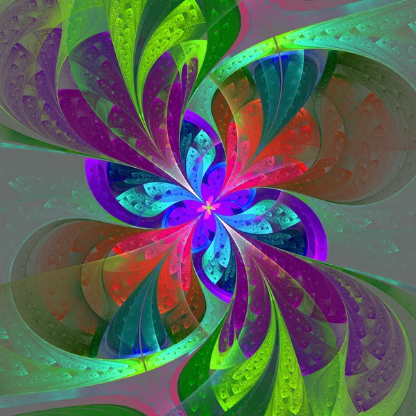 Multicolor beautiful fractal flower on gray background. — Stock Photo, Image