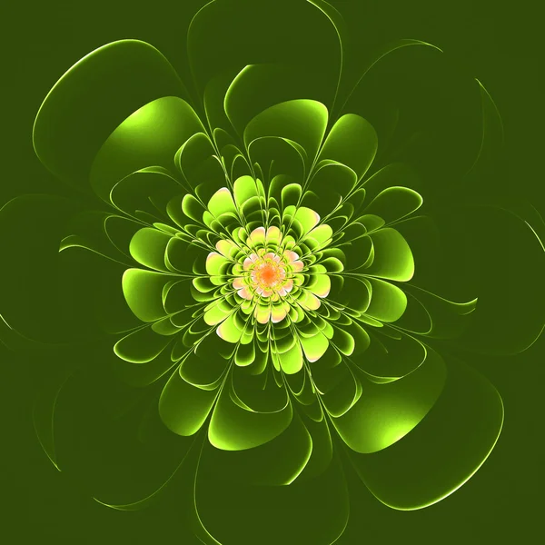 Красива фрактальна квітка в коричнево-зеленому кольорі на бежевому фоні . — стокове фото