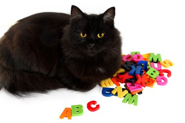 alfabe harfleri ve beyaz zemin üzerine siyah kedi.