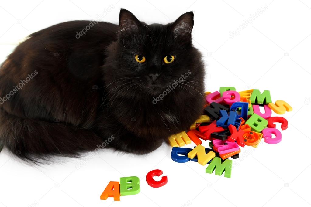 Alphabet letters and black cat on white background.