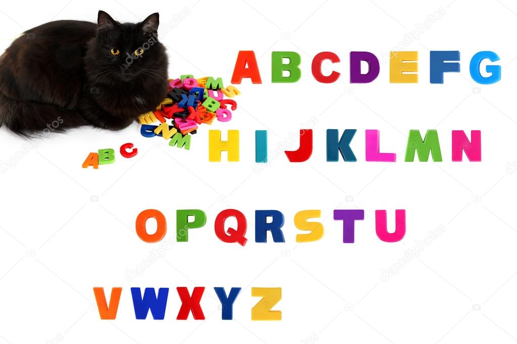 Alphabet letters and black cat on white background.