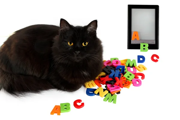 Alphabet and black cat with electronic book on white background. — Stock Photo, Image