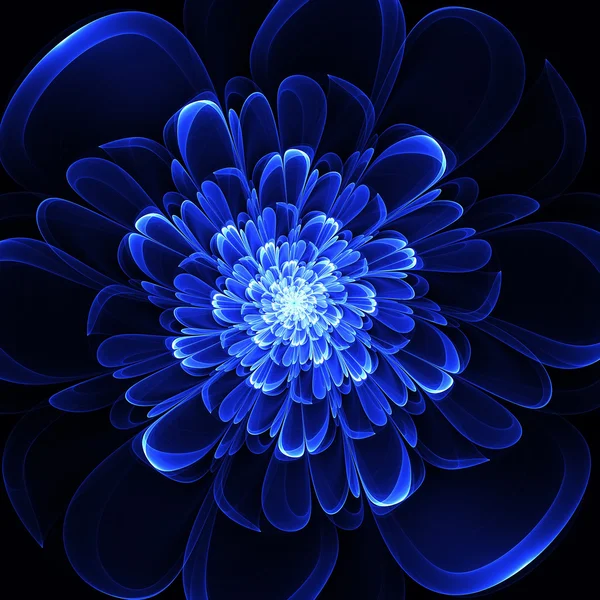 黒の背景に美しい青い花. — ストック写真