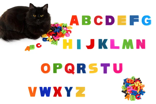 アルファベットと白い背景に黒い猫. — ストック写真