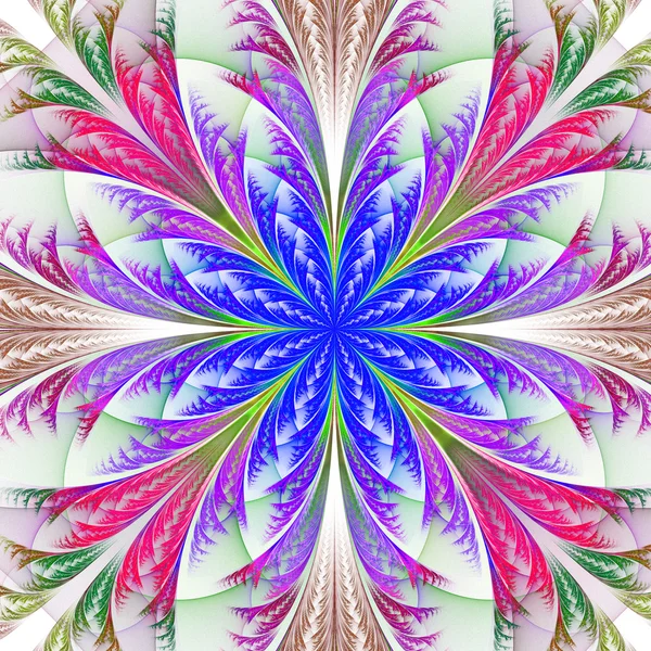 Güzel fractal çok renkli çiçek. koleksiyon - ayaz desen — Stok fotoğraf