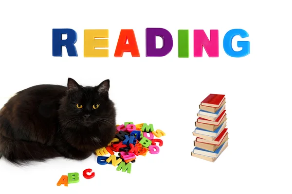 Alfabe ve kitaplar beyaz zemin üzerine siyah kedi. — Stok fotoğraf
