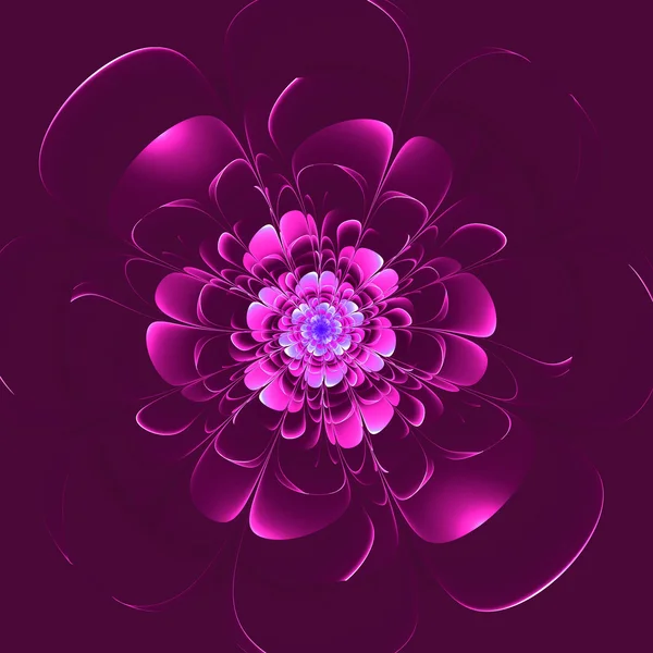 Mor zemin üzerine güzel bir mor çiçek. oluşturulan bilgisayar — Stok fotoğraf