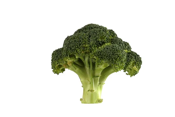 Träd som??från broccoli — Stockfoto