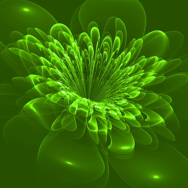 Beautiful flower on green background. Computer generated graphic — Stock Photo, Image