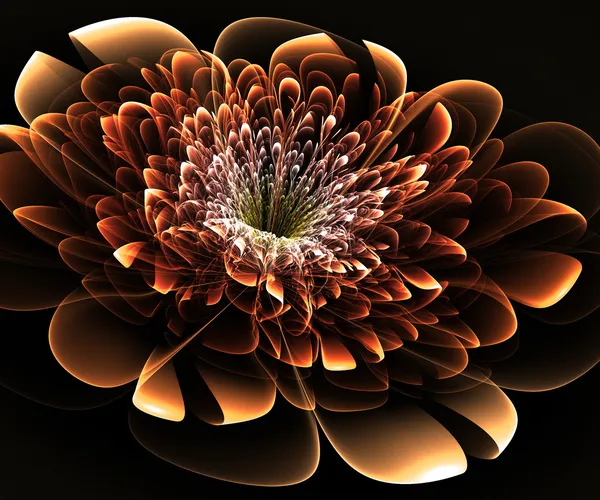 Beautiful beige flower on black background. Computer generated g — Stock Photo, Image