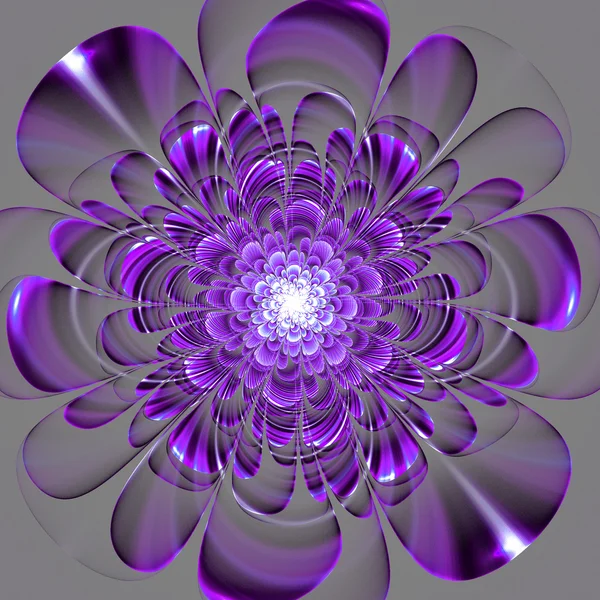 Beautiful purple flower on gray background. Computer generated — Stock Photo, Image
