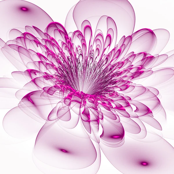 Krásný Fialový květ na bílém pozadí. computeru — Stock fotografie