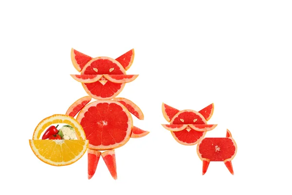 Zdravé stravování. kočka matka s dítětem z??grapefruit . — Stock fotografie