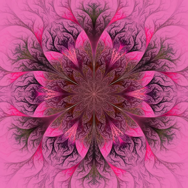 아름 다운 프랙탈 꽃 보라색, 자홍색 및 회색. — 스톡 사진