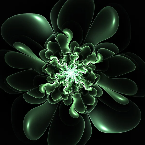 Beautiful contour flower on black background. Computer generated — Stock Photo, Image